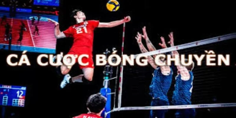 thumbnail cá cược bóng chuyền sin88
