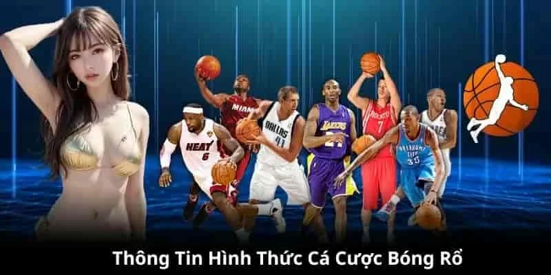 lý do người dùng tham gia cá cược bóng rổ tại sin88